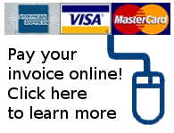 Pay online using your credit or debit card