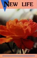 Messages of God's Love: "New Life"