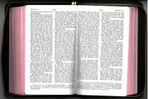 J.N.Darby Bible Full Notes, medium size with zip (JND11)