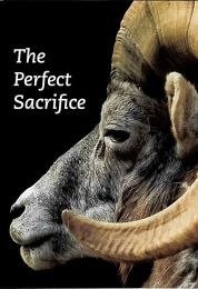 The Perfect Sacrifice, Pack of 100