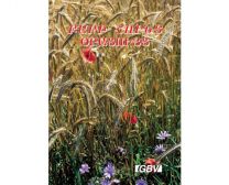 The Good Seed - Perpetual - Book (Armenian)