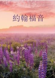Chinese Gospel of John