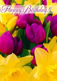 Birthday Card, TE50189A