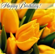 Birthday Card, TE40529A