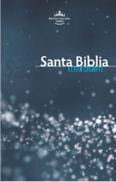 Spanish Bible, Reina Valera 1960, Giant Print