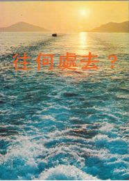 Chinese Whither Bound?