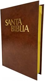 Spanish Bible, Mordern Version