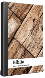 Polish Bible, City Bible