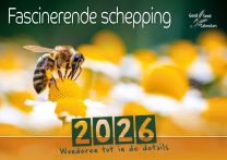 Dutch Fascination of Creation Calendar 2026