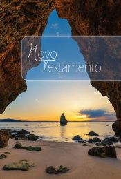 Portuguese New Testament