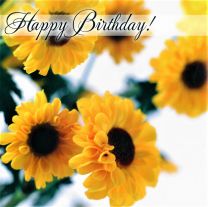 Birthday Card TE40519A