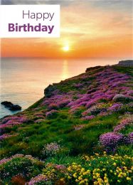 Birthday Card TE5223XA