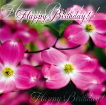 Birthday Card TE40759A