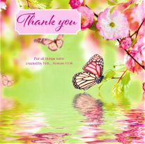 Thank You Card 9126