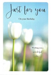 Birthday Card 3413