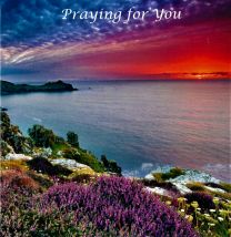 Praying for You Card CD224