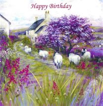 Birthday Card CDD113