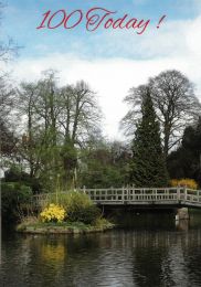 Brithday Card - 100th (CN221)