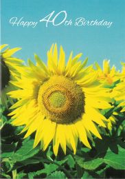 Birthday Card 40th, CN229