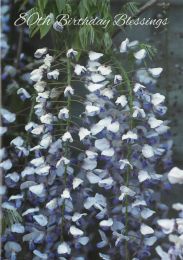 Birthday Card 80th, CN220