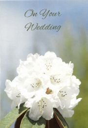 Wedding Card CN113
