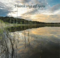 Thinking of you Card CDC330