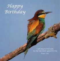 Birthday Card CDC269