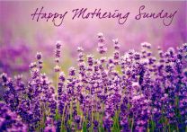 Mothering Sunday Card TLC1221363