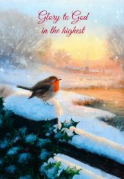 10 Robin and Holly Collection Christmas Cards "Winter Robin" GM21102