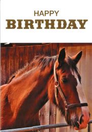 Birthday Card SL50051A