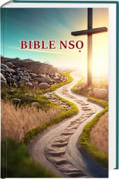 Igbo Bible