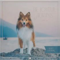 Be Joyful Always 2027 Calendar