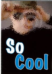 So cool (pack of 100)