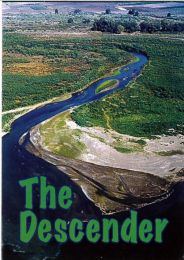 The Descender (pack of 100)