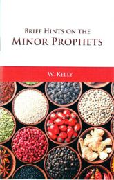 Brief Hints on the Minor Prophets
