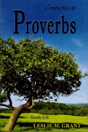 Comments on Proverbs