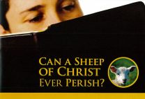 Can a Sheep of Christ ever perish?