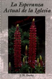 Spanish The Hopes of the Church