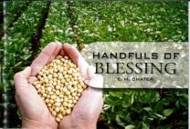 Handfuls of Blessing