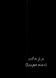 The Holy Bible Tamil (pocket size)