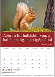 Hungarian Words of Life Calendar 2027 (TBS)