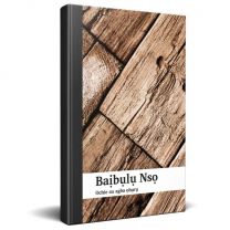Igbo Bible