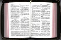 J.N.Darby Bible Full Notes, small size with zip (JND9)