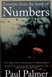 Excerpts from the Book of Numbers