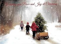 10 Identical Christmas Cards (GMC170-25029)