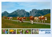 Spanish Hope 2026