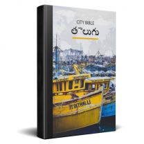 Telugu New Testament