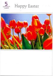 5 Identical Easter Cards TS20099/4