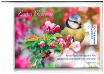 Easter Card TLM42436 - 4 Cards