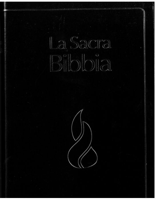 Italian Bible Study La Sacra Bibbia 32369 Chapter Two Online Shop